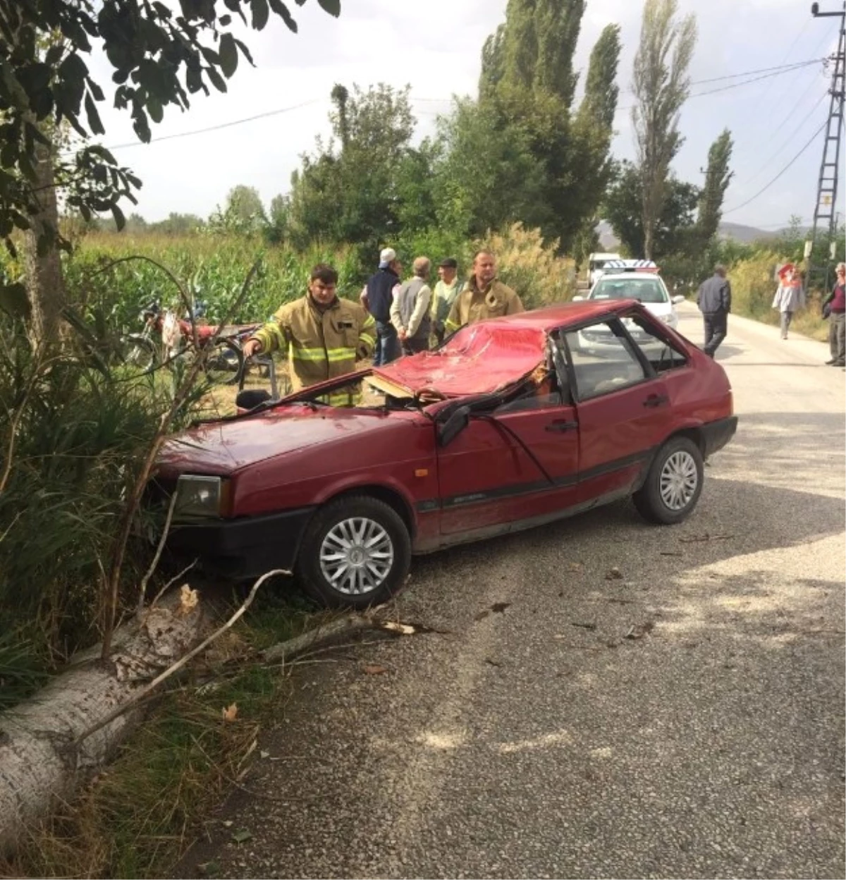 Seyir Halindeki Aracın Üzerine Ağaç Düştü: 1 Ölü, 1 Yaralı