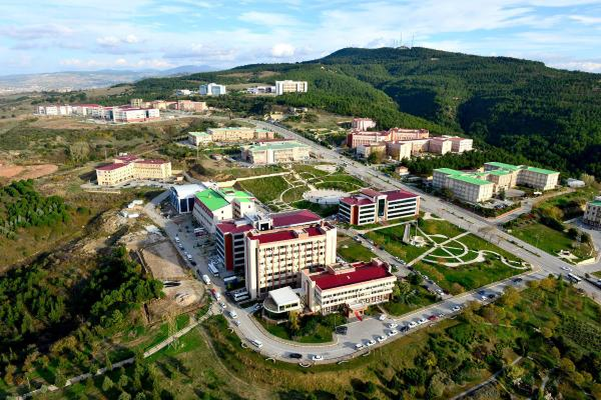 Üniversite Kütüphanelerinde Fetö Kitabı Temizliği