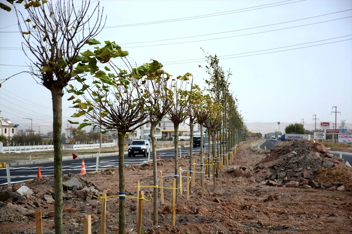 Aksaray\'da "Yeniden Yeşil Aksaray" Projesi