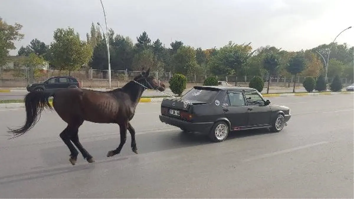 Atı Otomobilin Arkasına Bağlayıp, Trafiğe Çıktı