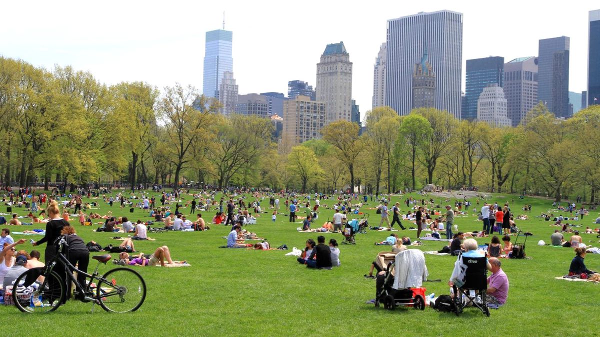 Central Park'ta Tecavüz Alarmı Verildi