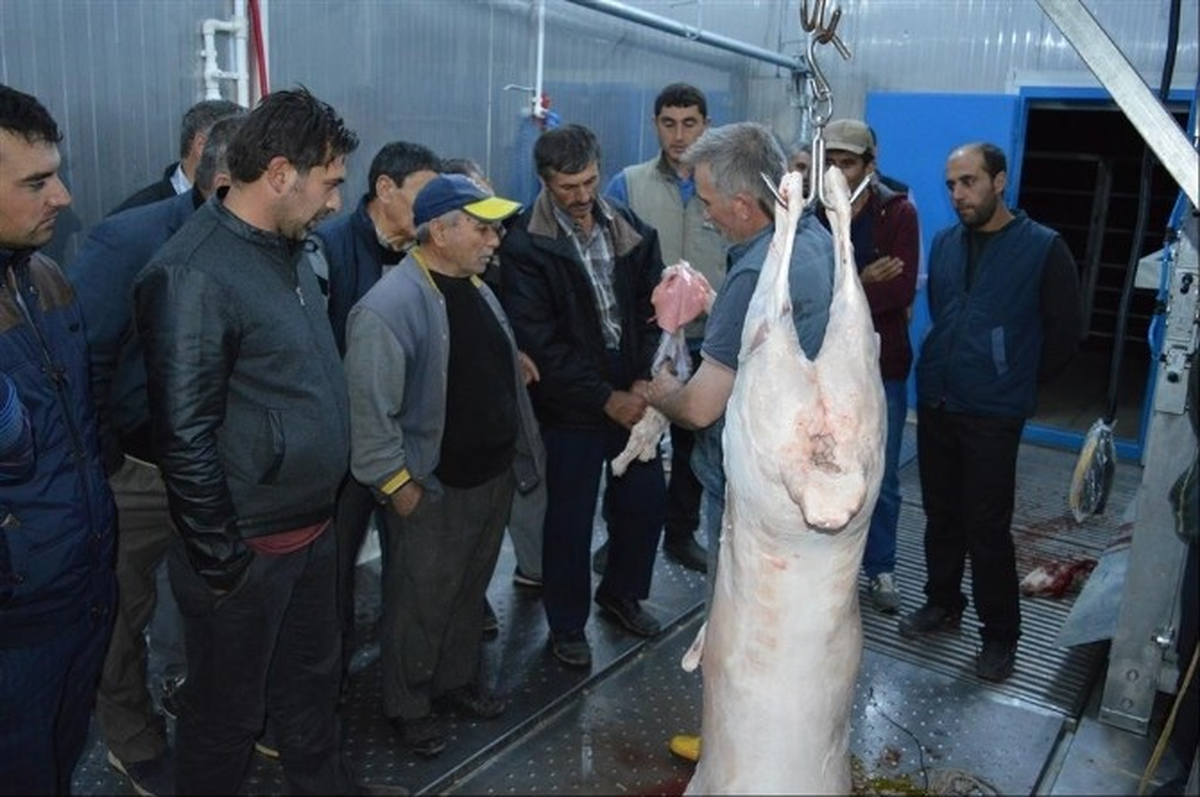 İvrindili Vatandaşlar Kasaplık Öğrendi