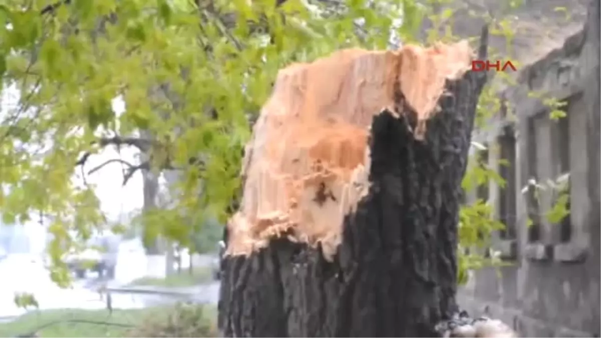 Odessa Fırtınaya Teslim Üç Kişi Öldü, Türk Yelkenlisi Battı