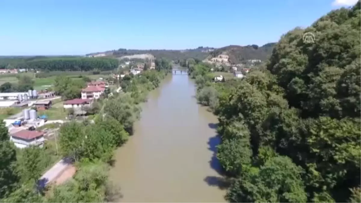 Sakarya Nehri\'nde Balık Ölümlerine Inceleme