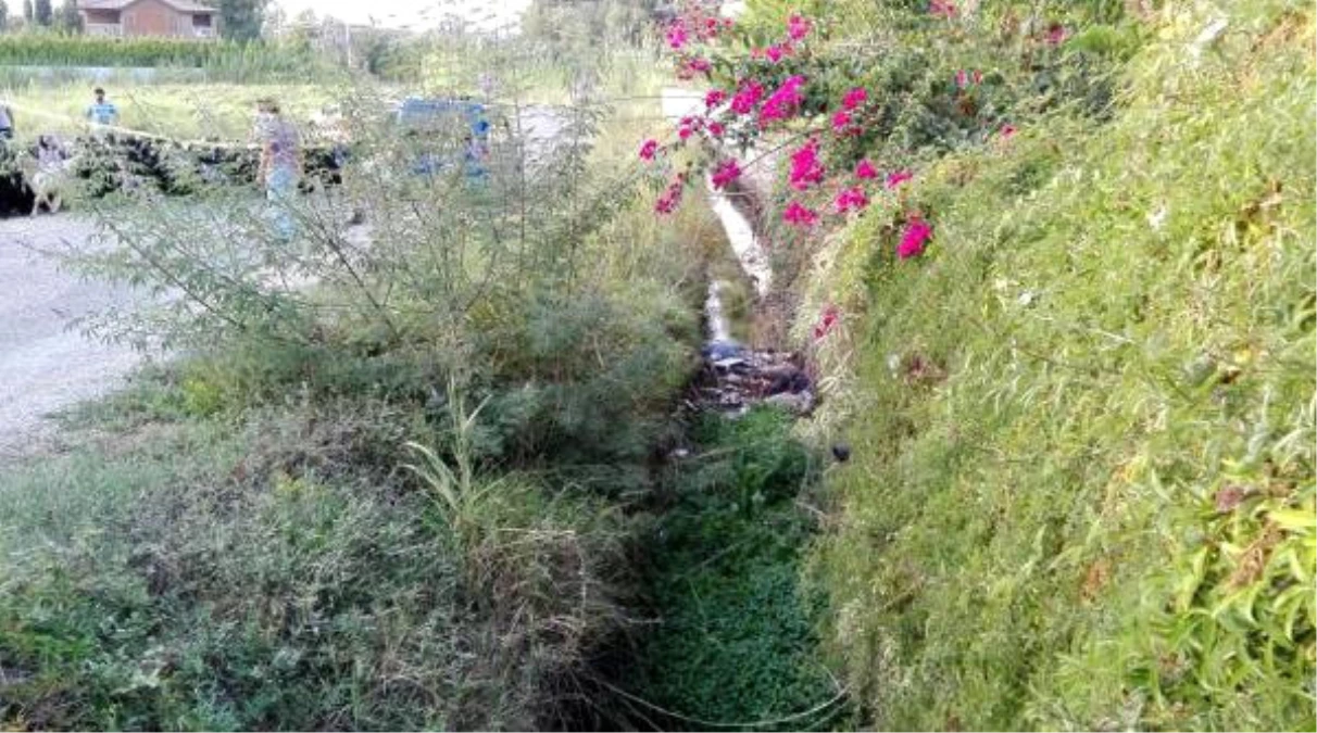 Sulama Kanalında Cesedi Bulunan Kadının Rukiye Aydın Olduğu Saptandı
