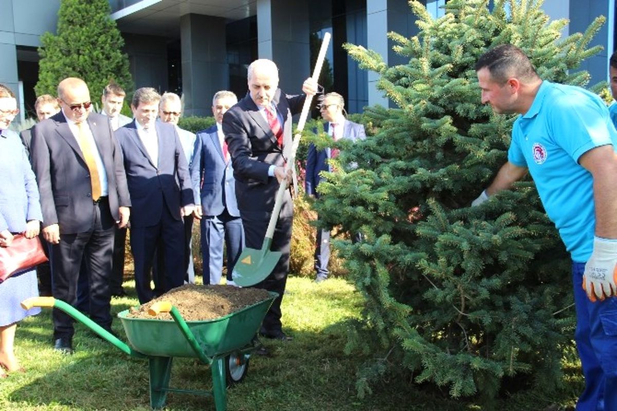 Başbakan Yardımcısı Numan Kurtulmuş Çomü\'de Fidan Dikti