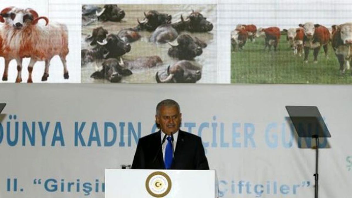 Binali Yıldırım: Çiftçinin Kullandığı Mazotun Yarısını Devlet Ödeyecek