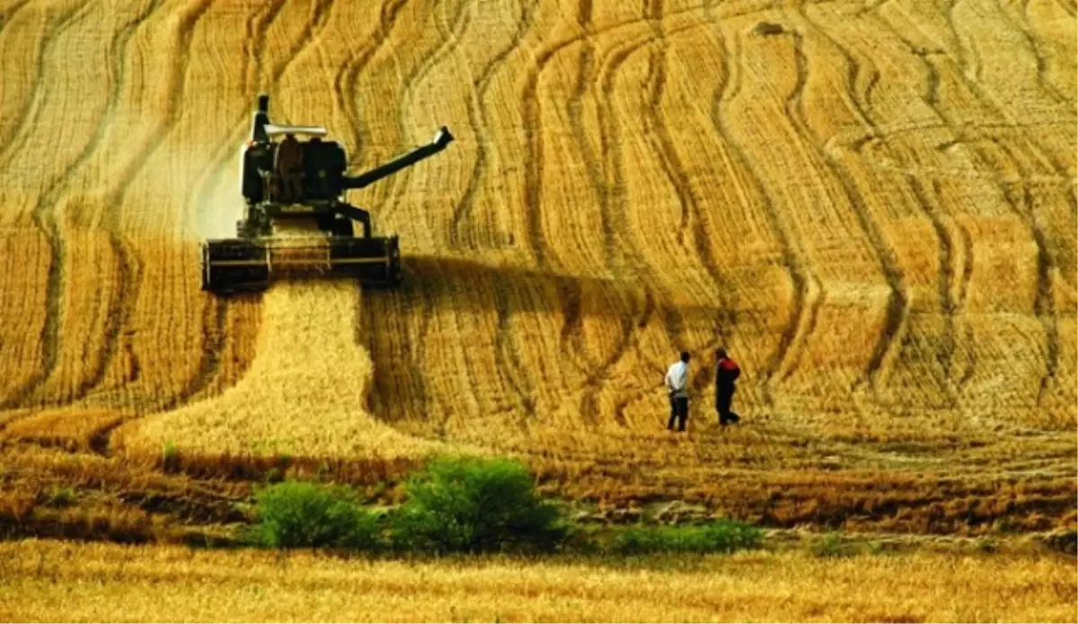 İşte Bugün Duyurulacak Tarım Paketi