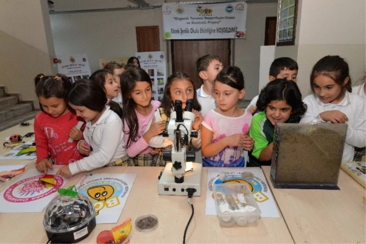 Öğrenciler Böceklerden Korkmamayı ve Doğa ile Bütünleşmeyi Öğreniyor