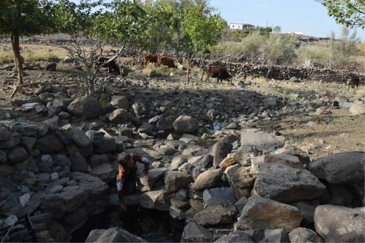 Şebeke Suları Kesilen Köylüler, Kuyu Suyu İçmek İstemiyor