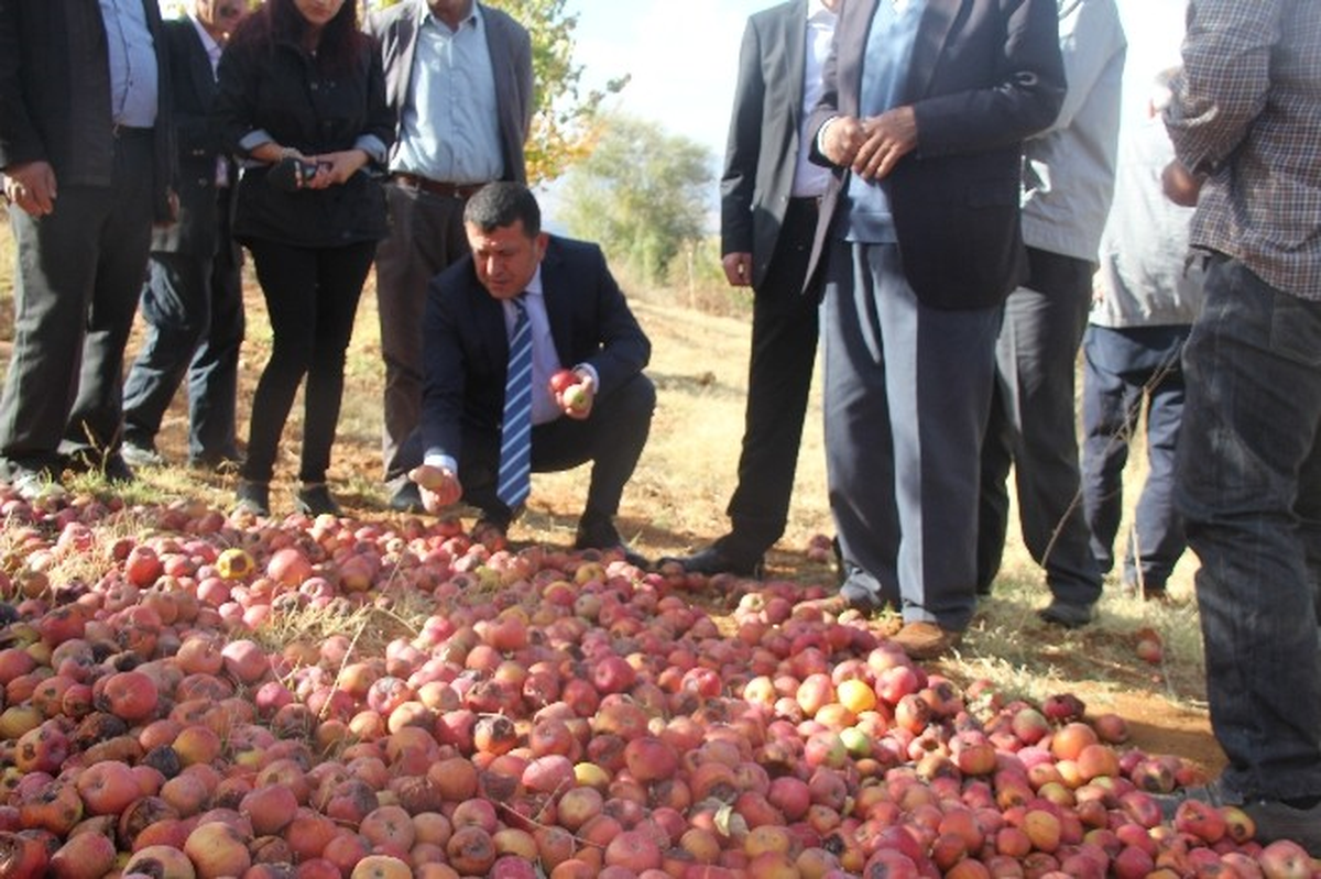 CHP Genel Başkan Yardımcısı ve Malatya Milletvekili Veli Ağbaba Açıklaması
