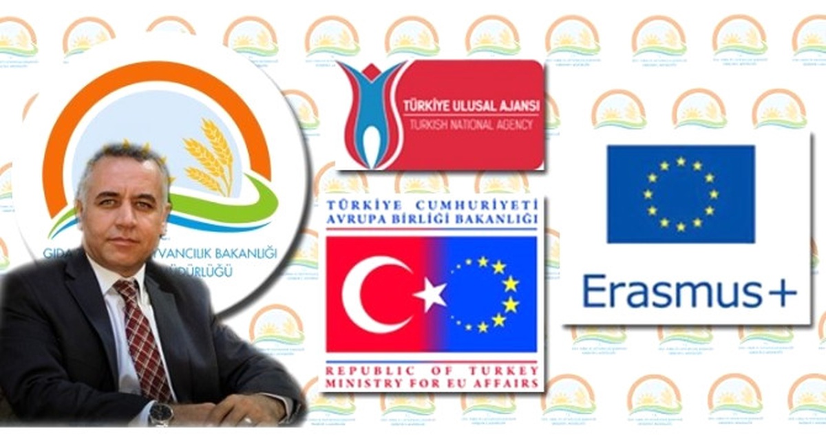 Hayal Bile Edilemeyen Avrupa Birliği Projesi Onaylandı