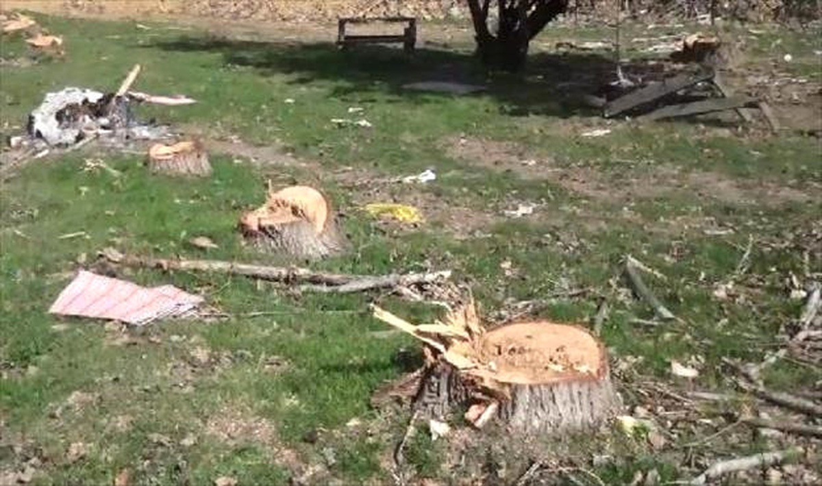 Kemerburgazlılar Kesilen Ağaçlar ve Yapılacak Maden Ocağına Tepkili