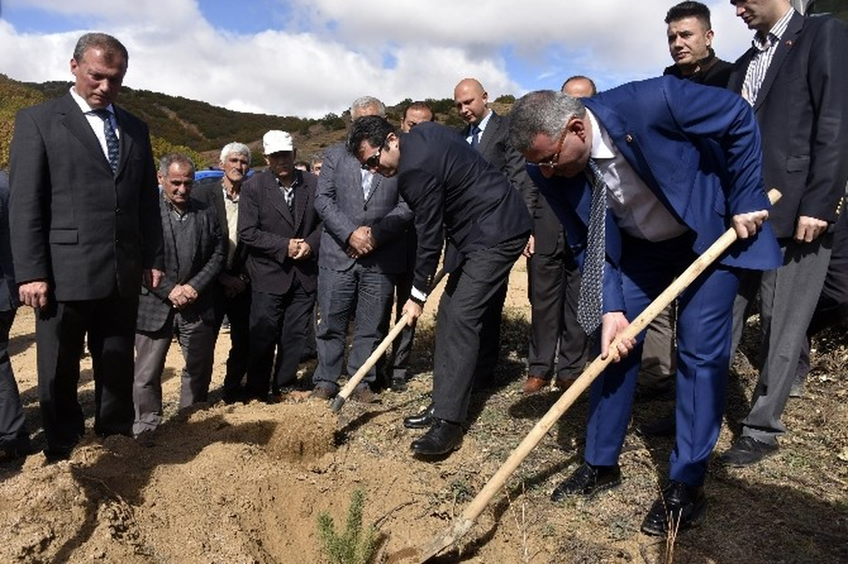 Köse\'de 41 Bin Fidan Toprakla Buluştu