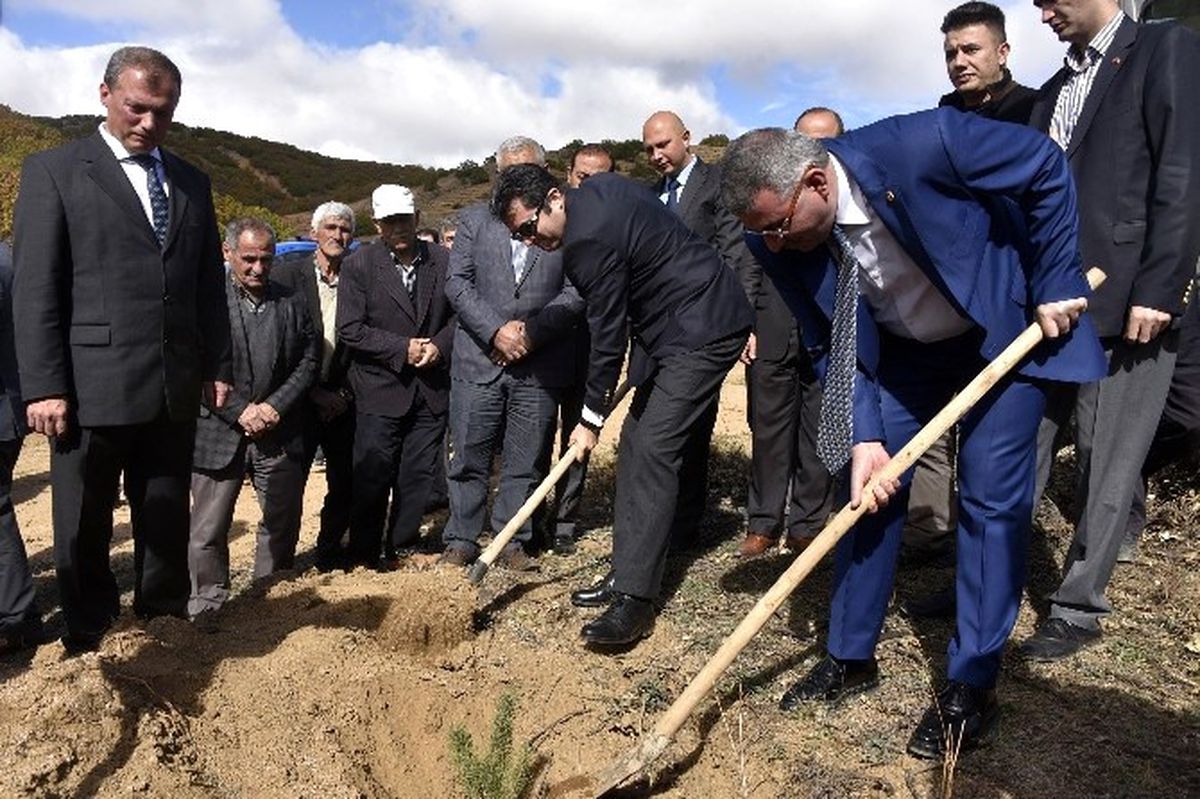 Köse İlçesinde 41 Bin Fidan Toprakla Buluşturuldu