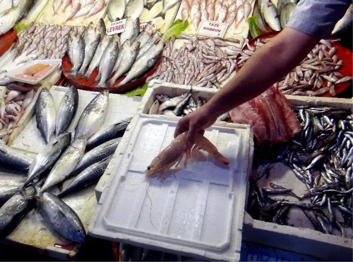 Türkiye\'de Denizden Çıkan En Büyük Karides Görenleri Şaşırtıyor