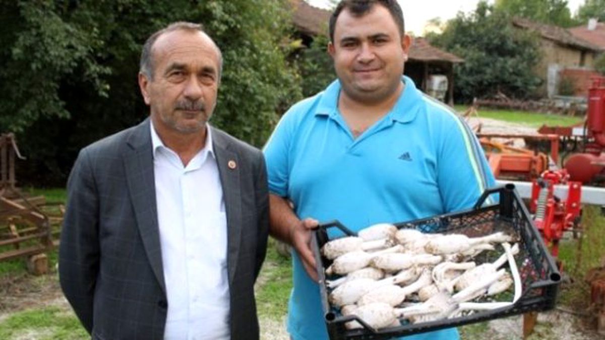 Senede İki Sefer Görülüyor! Altından Daha Değerli