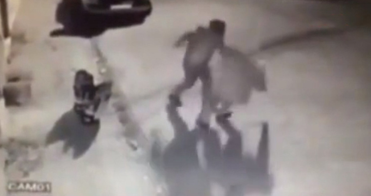 Sopayla Köpeklere Saldırdı, Dayak Yedi, Tasmayla Duvara Bağlandı