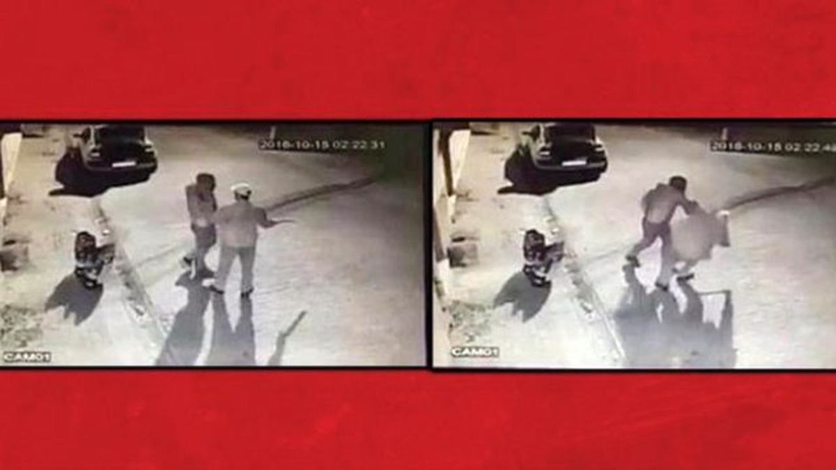 Aydın\'da Tartışılacak Olay... Köpek Tasması Taktı