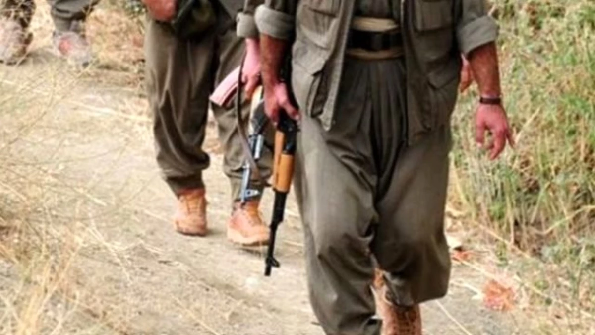 Bitlis\'te Terör Operasyonu: 4 Terörist Öldürüldü