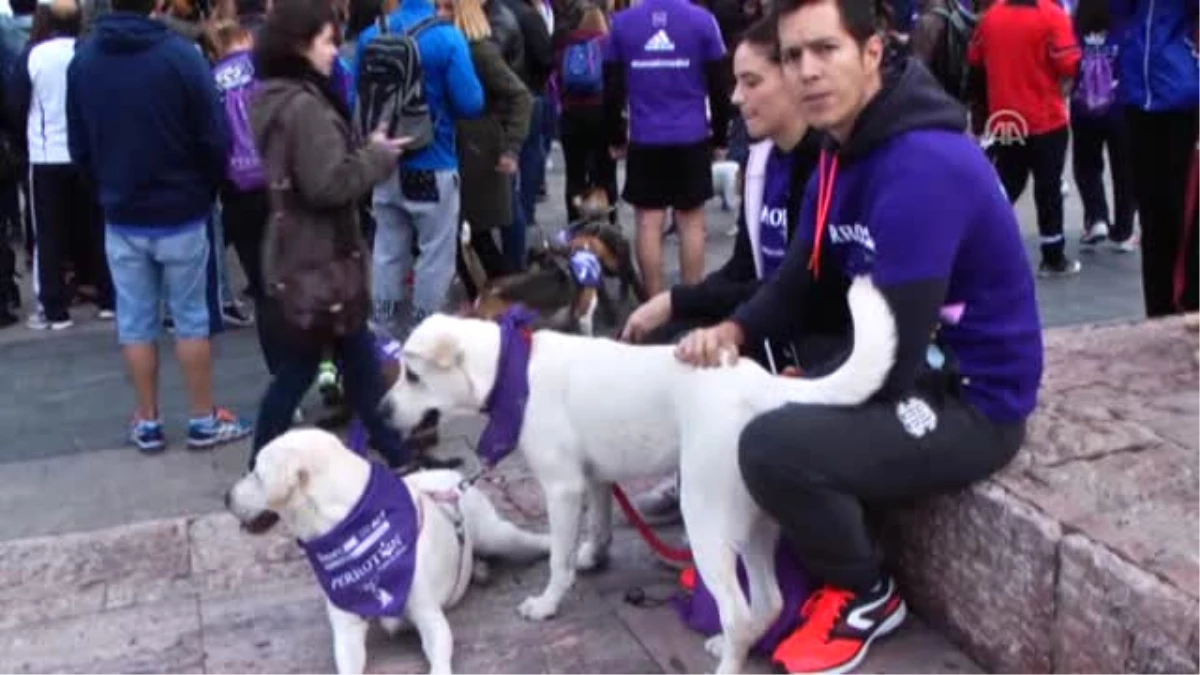 Köpek Maratonu "Perroton"