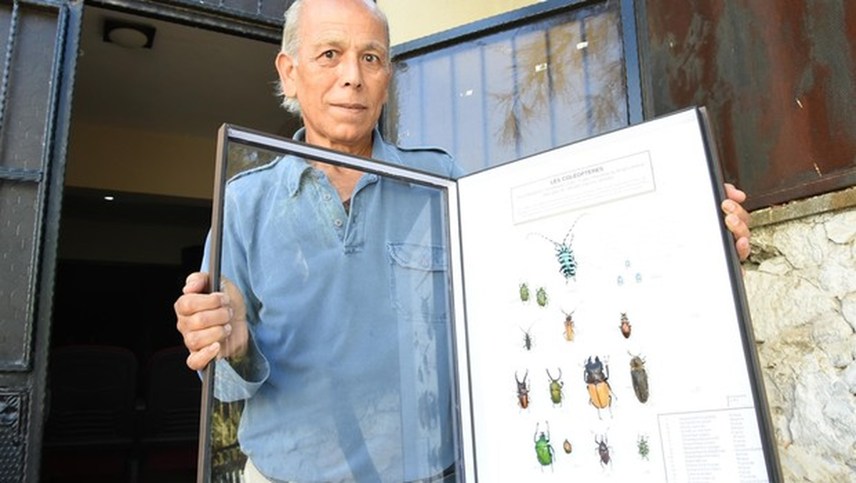Mezun Olduğu Lisede Böcekleri Sergiledi