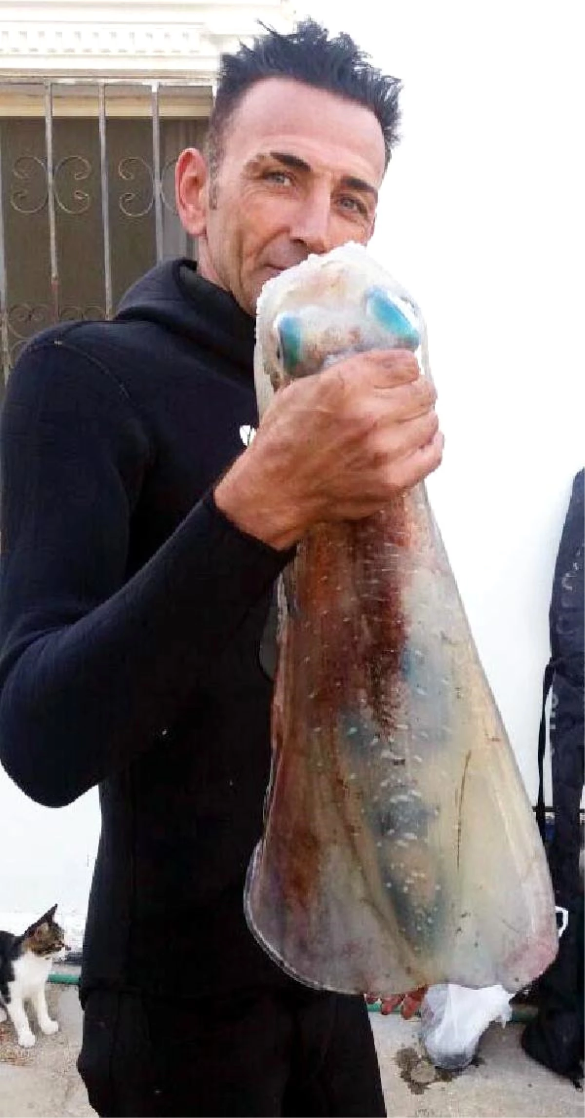 Bodrum\'da Amatör Balıkçı 3.5 Kiloluk Dev Kalamar Yakaladı