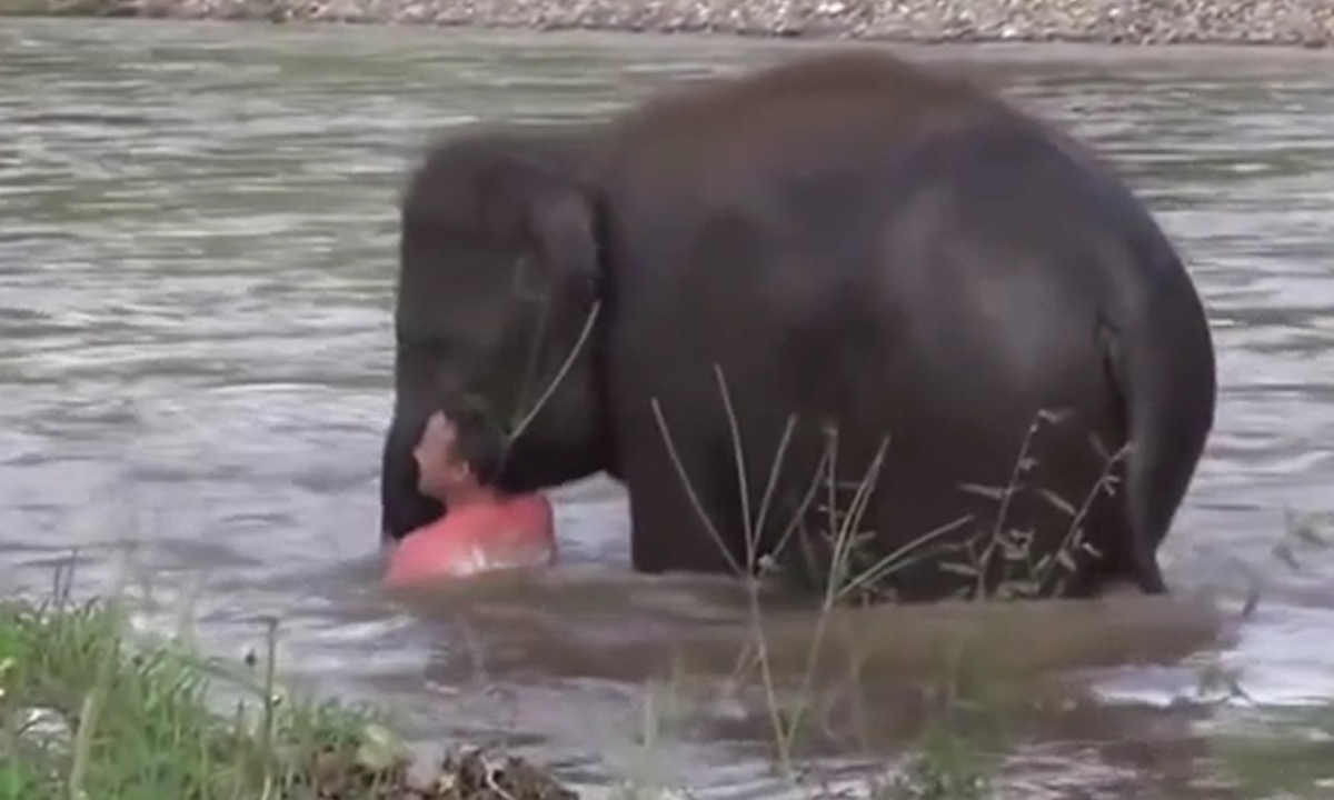 Boğuluyor Sandığı Sahibini Akıntıya Girip Kurtardı
