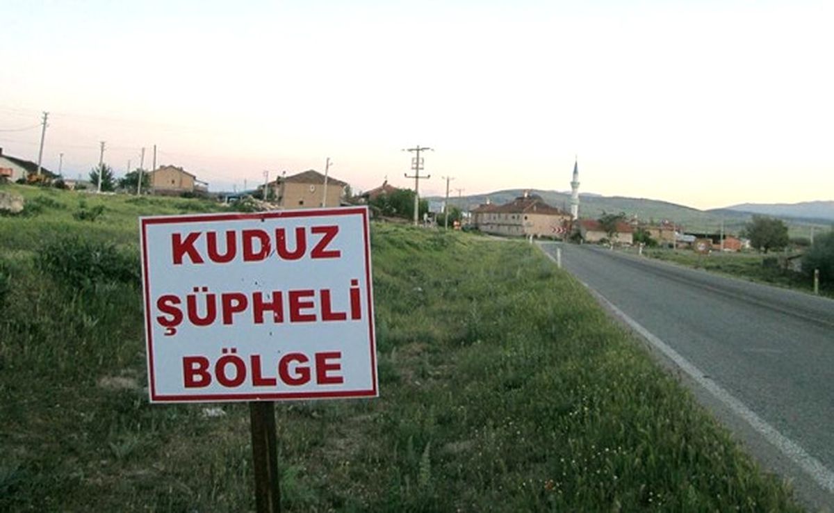Bursa\'da Kuduz Karantinası