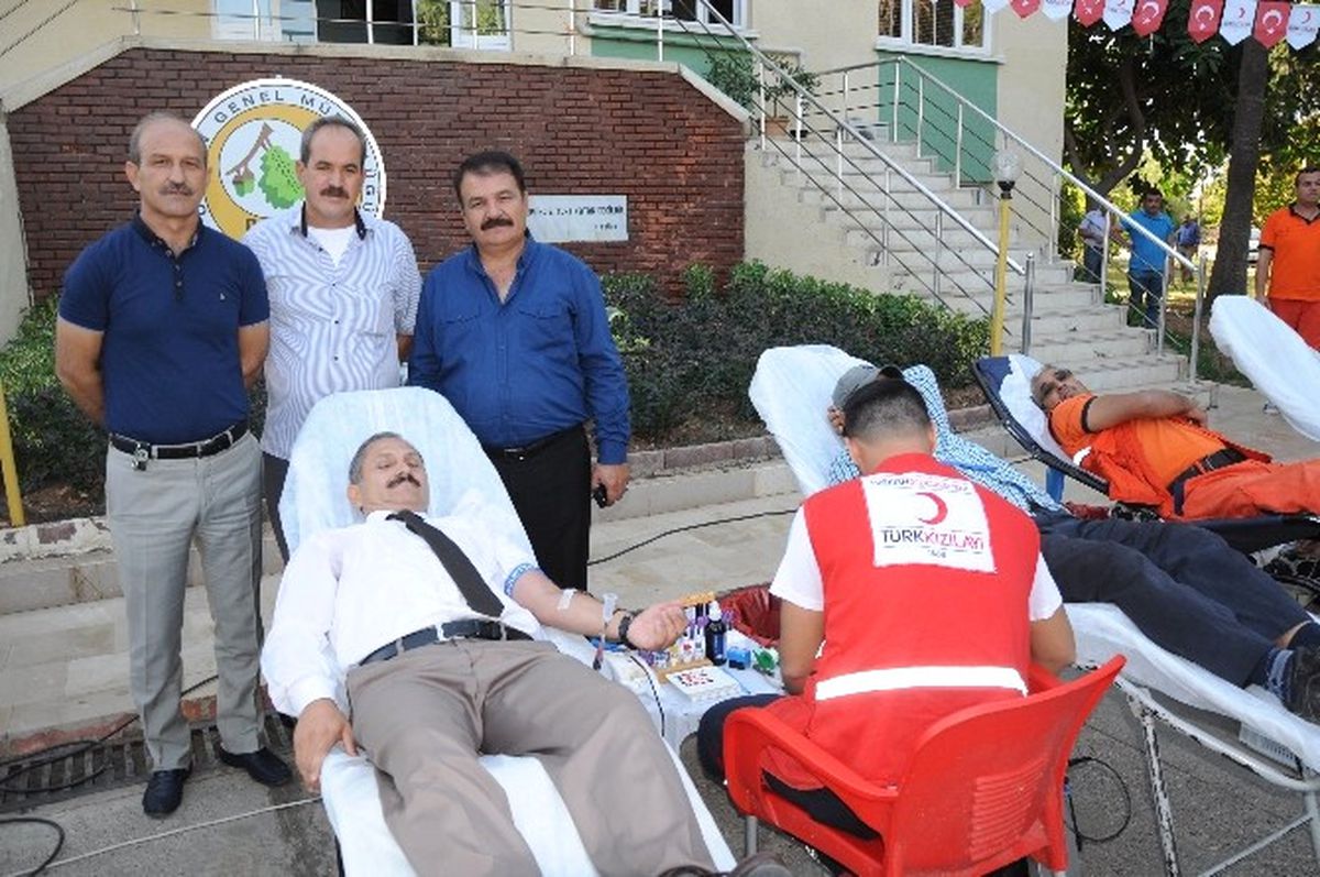 Erdemli\'de "Bir Kan Bir Fidan" Projesi
