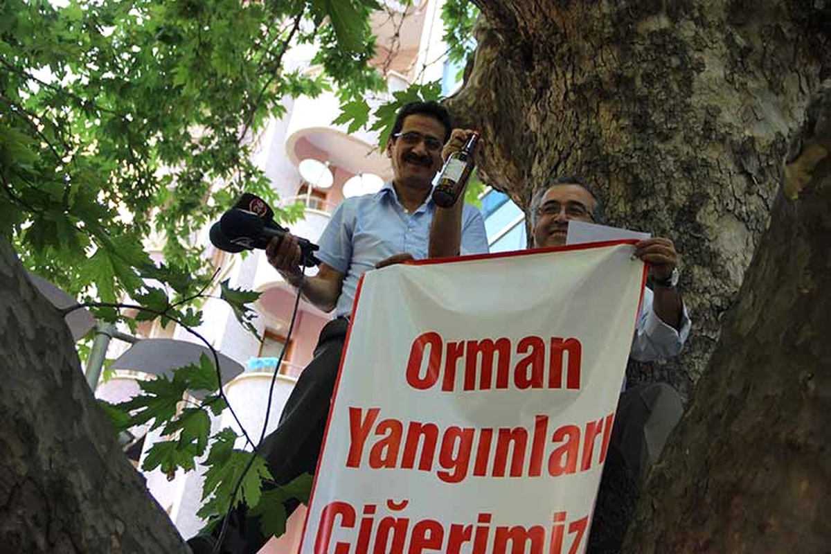 Hafriyat Çalışmasında Ağacın Zarar Görmesi Tepti Çekti