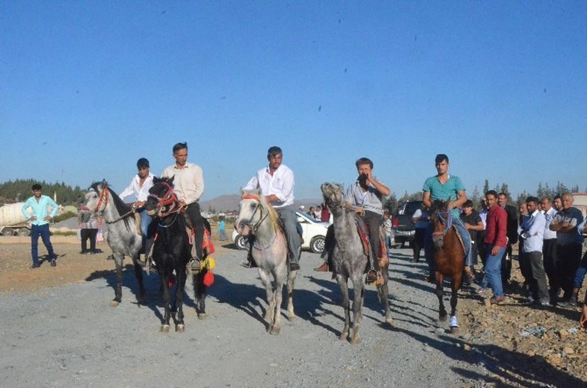 Türkoğlu\'nda At Yarışları