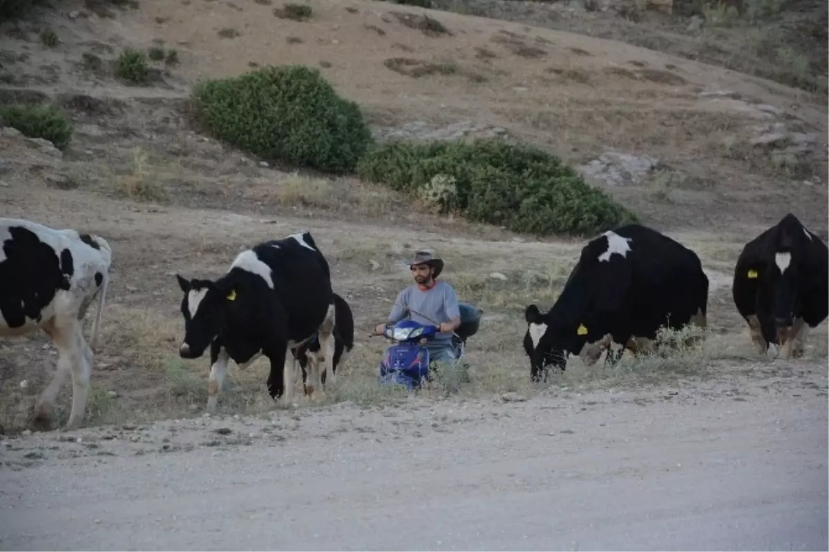 Uşak\'ın Mende Bağlarını İsviçre\'nin Alp Dağları\'na Tercih Etti