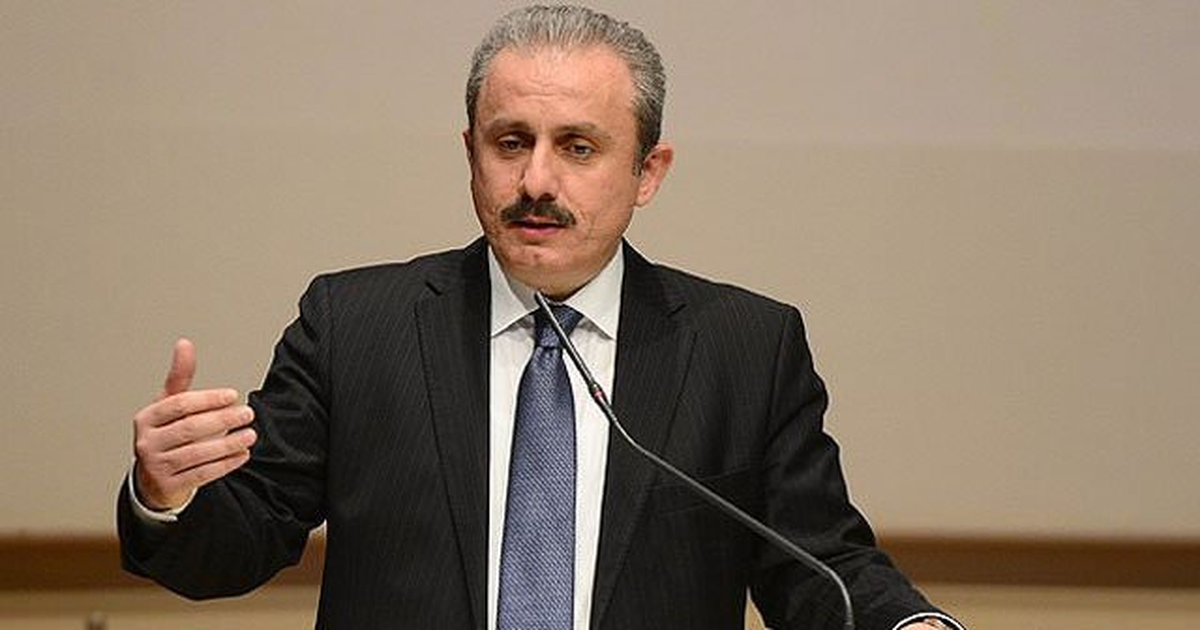 15 Temmuz ve Yeni Anayasa" Toplantısı
