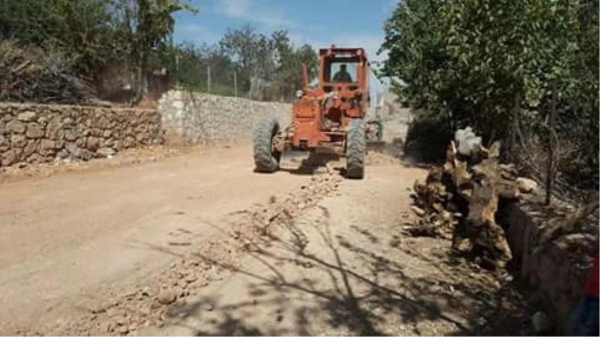 Kayyum Atanan Belediyeden İlk Çalışma