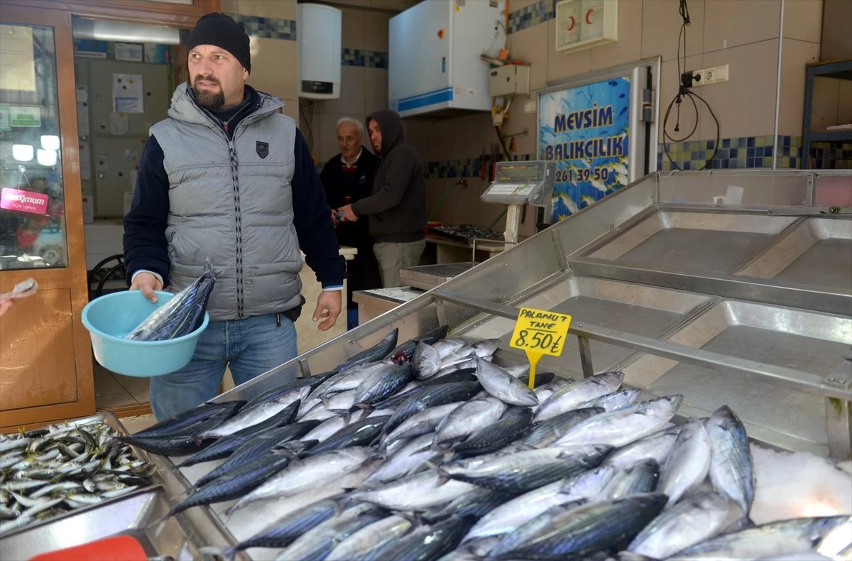 Olumsuz Hava Şartları Balık Fiyatlarını Yükseltti