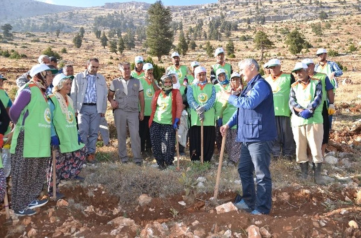 Orman Bölge Müdürlüğü, Toroslar\'ın Çatısını Ağaçlandırıyor