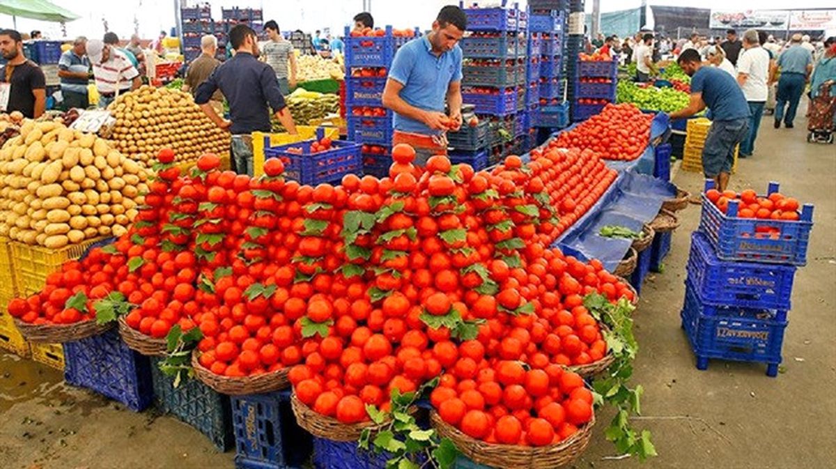 Tekirdağ\'da Hal Fiyatları