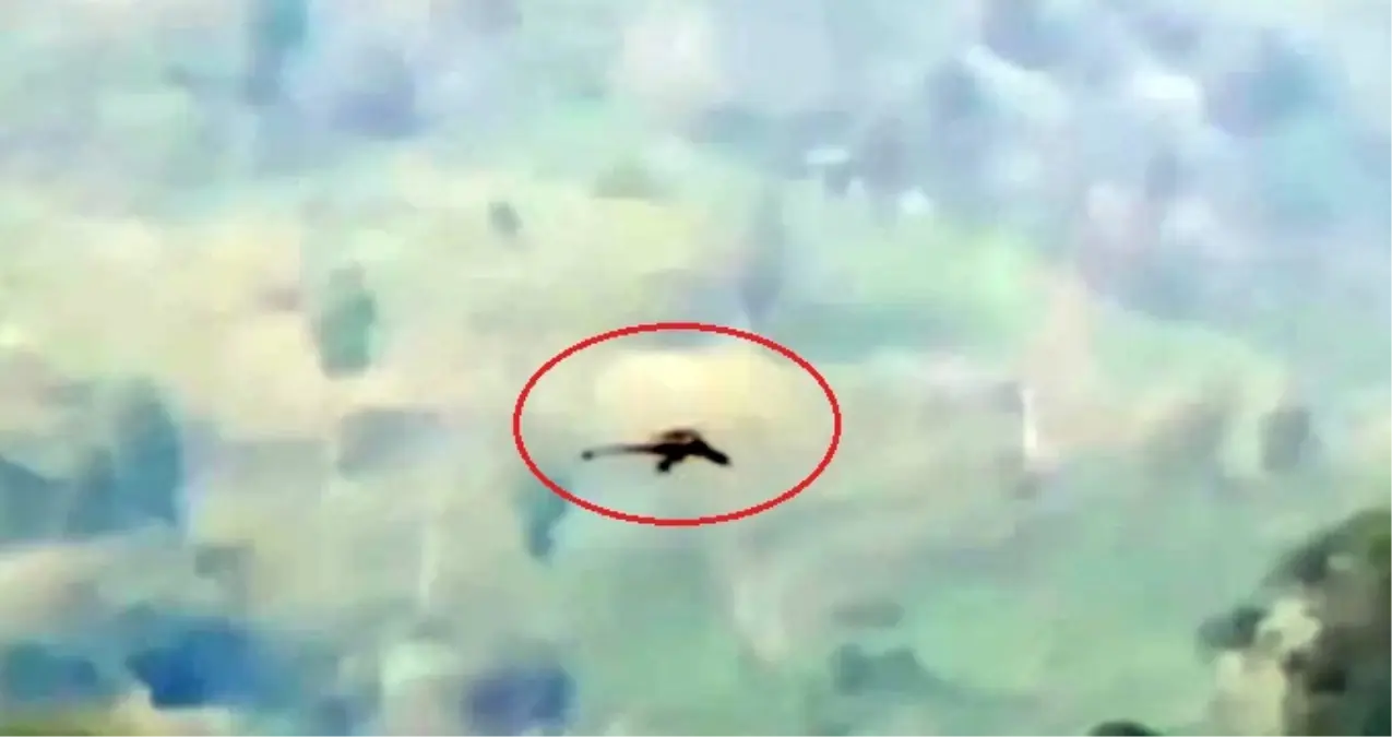 Çin'de Ejderha Görüldü! Görüntüler Televizyonda Yayınlandı