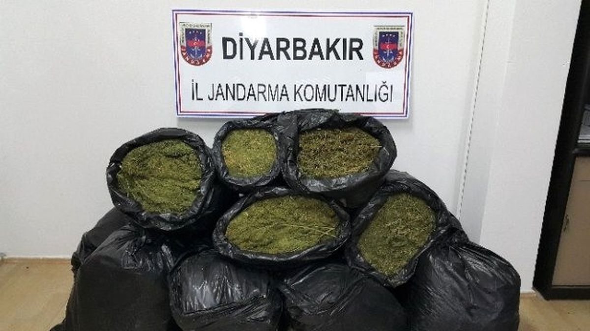 Diyarbakır\'daki Terör Operasyonu
