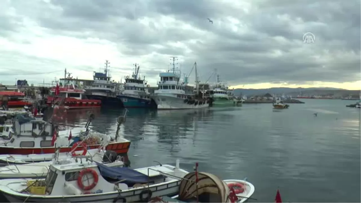 Hamsi Kaçtı Onlar Kovaladı