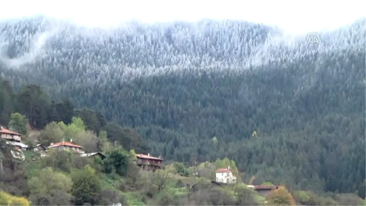 Ilgaz Dağı\'na Mevsimin Ilk Karı Yağdı