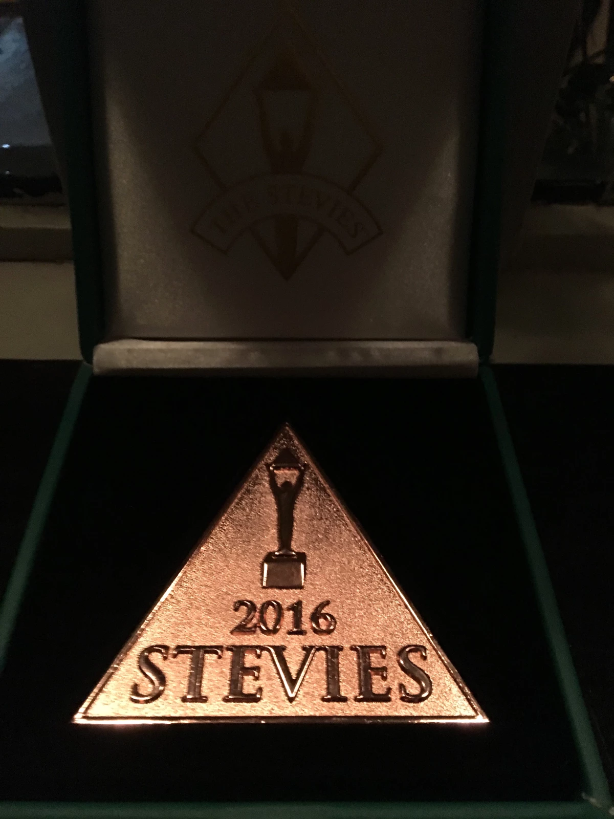 Nef\'e Stevie Awards\'tan bir ödül daha