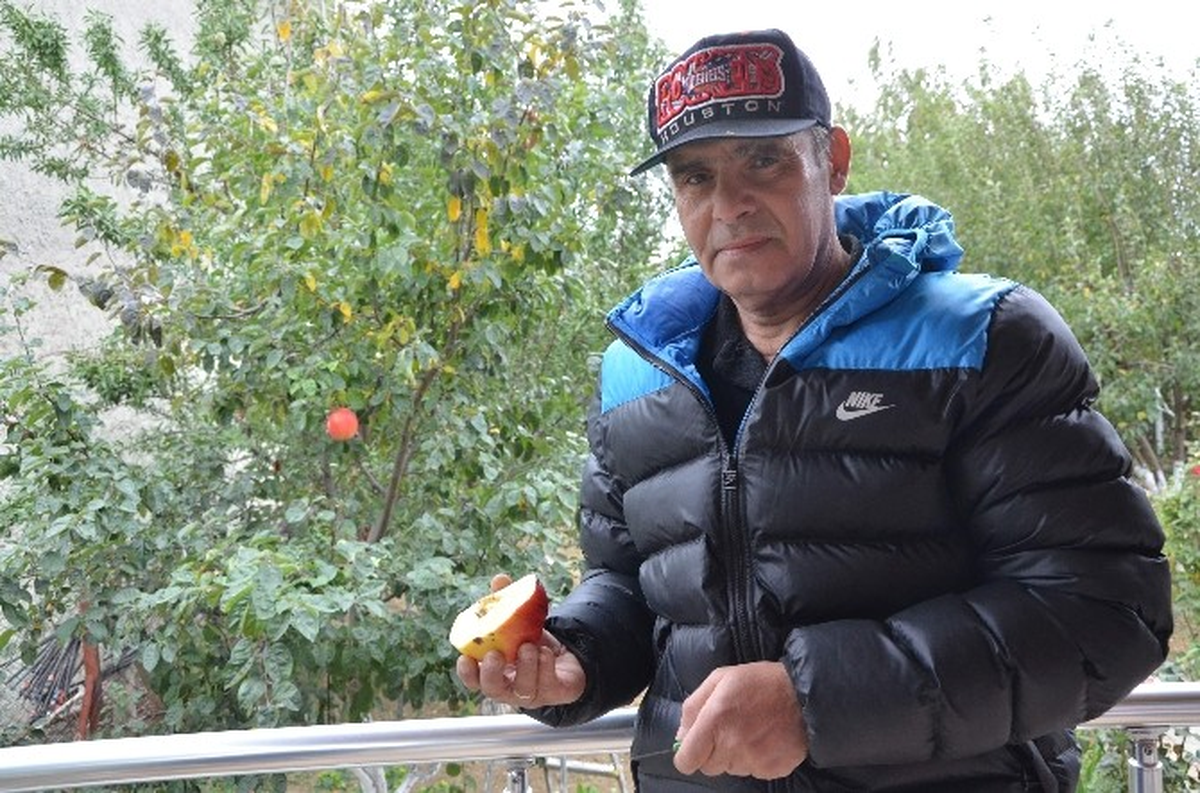 Adı Konulmamış, Tadı Bilinmeyen Meyve Kafaları Karıştırdı