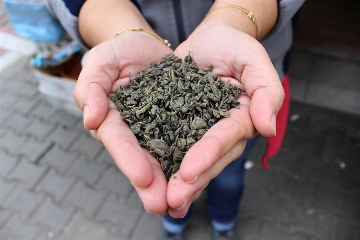 Yeşil Çay "Pudra" Halinde Mutfağa Girecek
