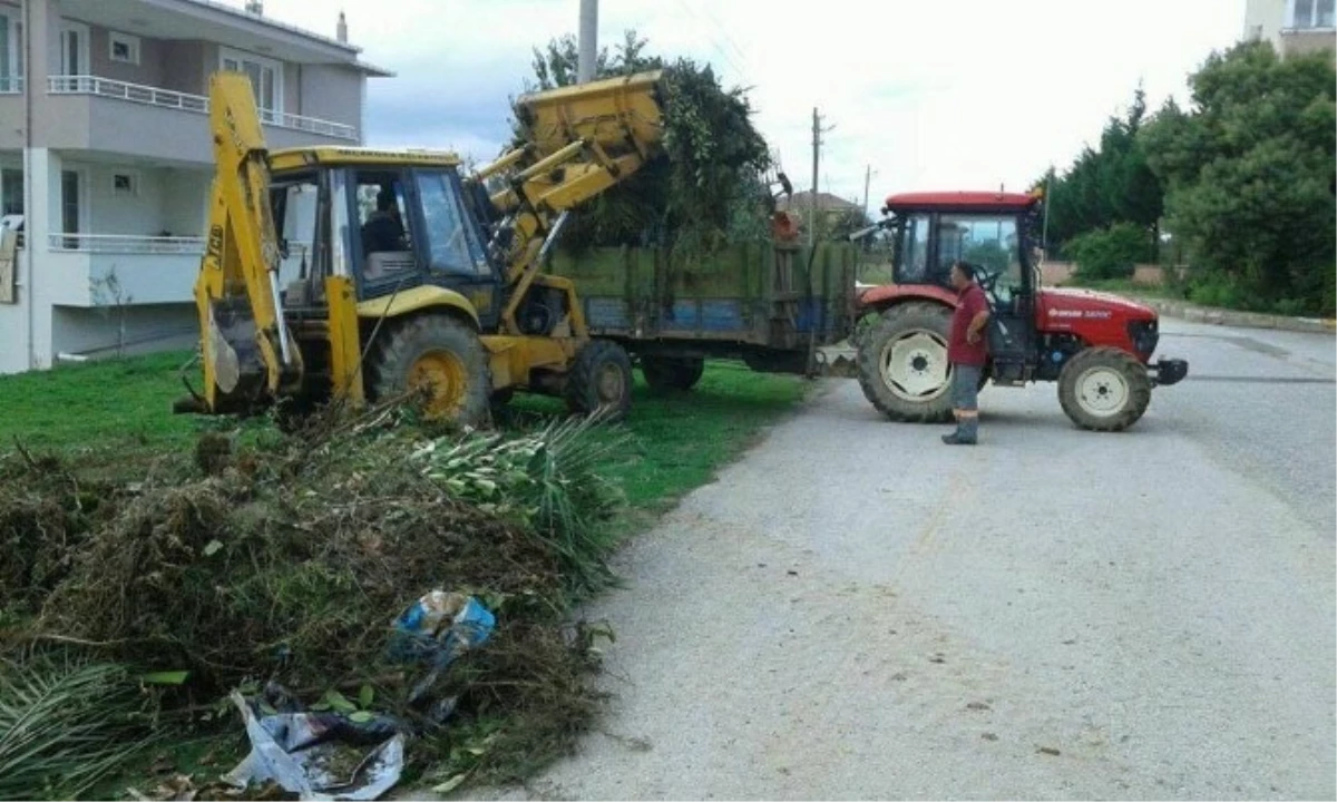 Akçakoca\'da Temizlik Çalışmaları Hızlandı