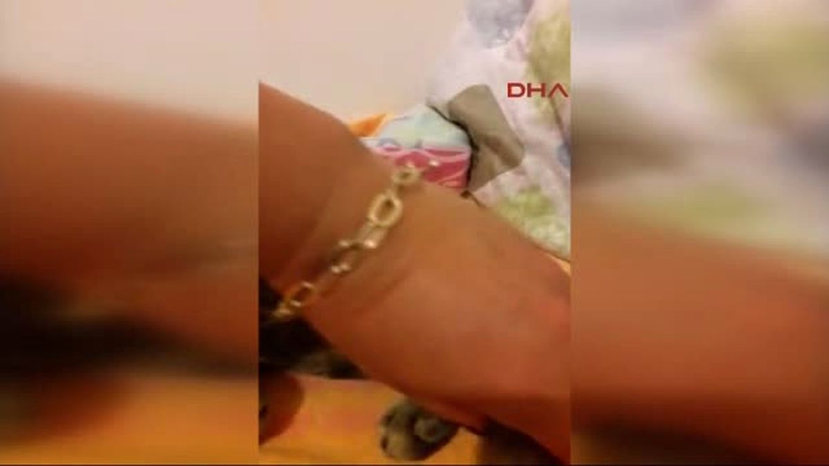 Antalya\'da Tecavüze Uğrayan Kedi Telef Oldu