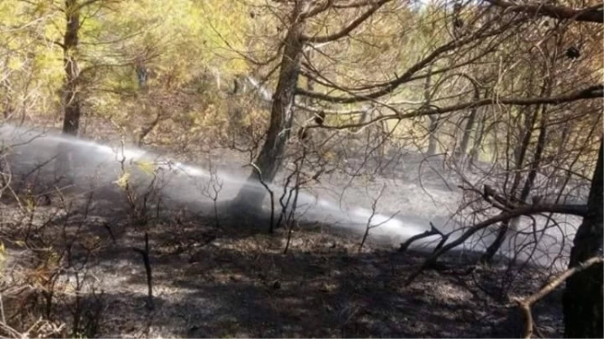 Çanakkale\'de Orman Yangını