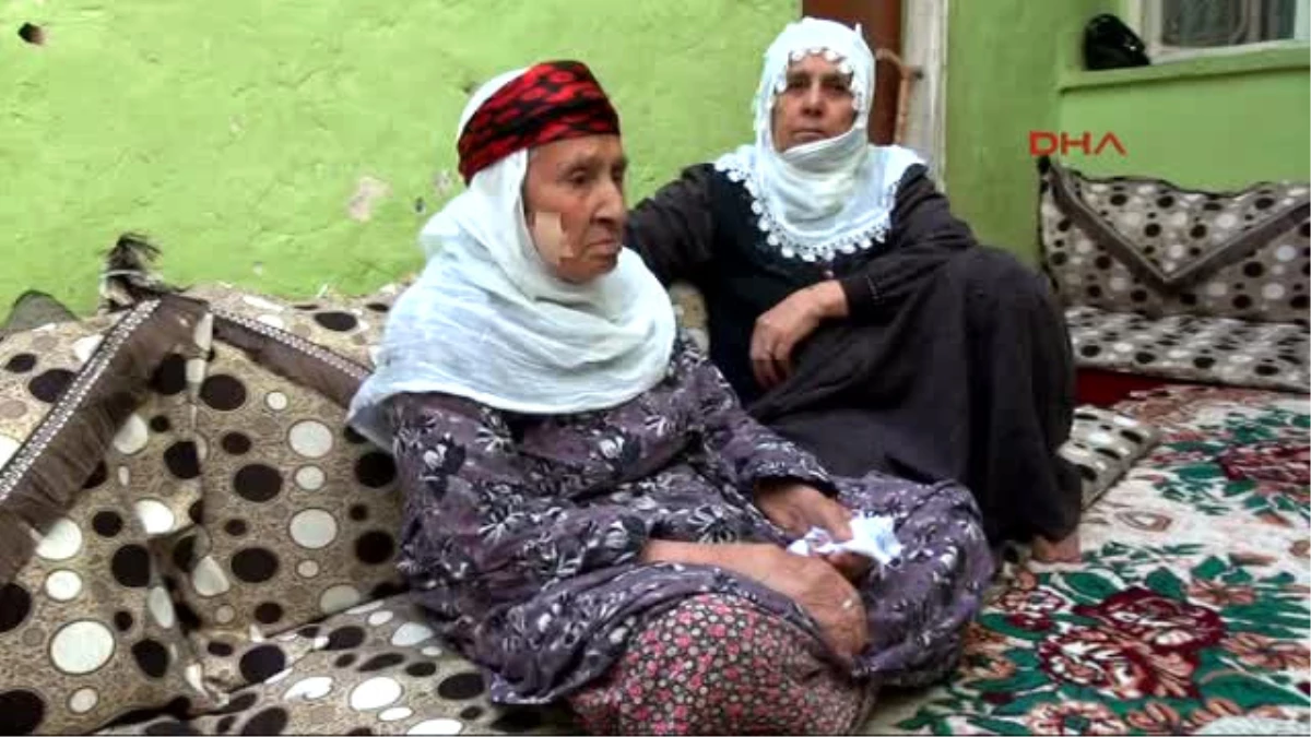 Diyarbakır Resmi Kayıtlara Göre 97 Yaşında Olan Şahi Ninenin 5 Kuşaktan 450 Torunu Var