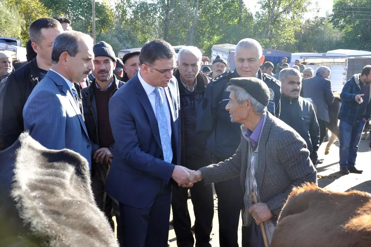 Kaymakam Balcı, Hayvan Pazarında İncelemelerde Bulundu